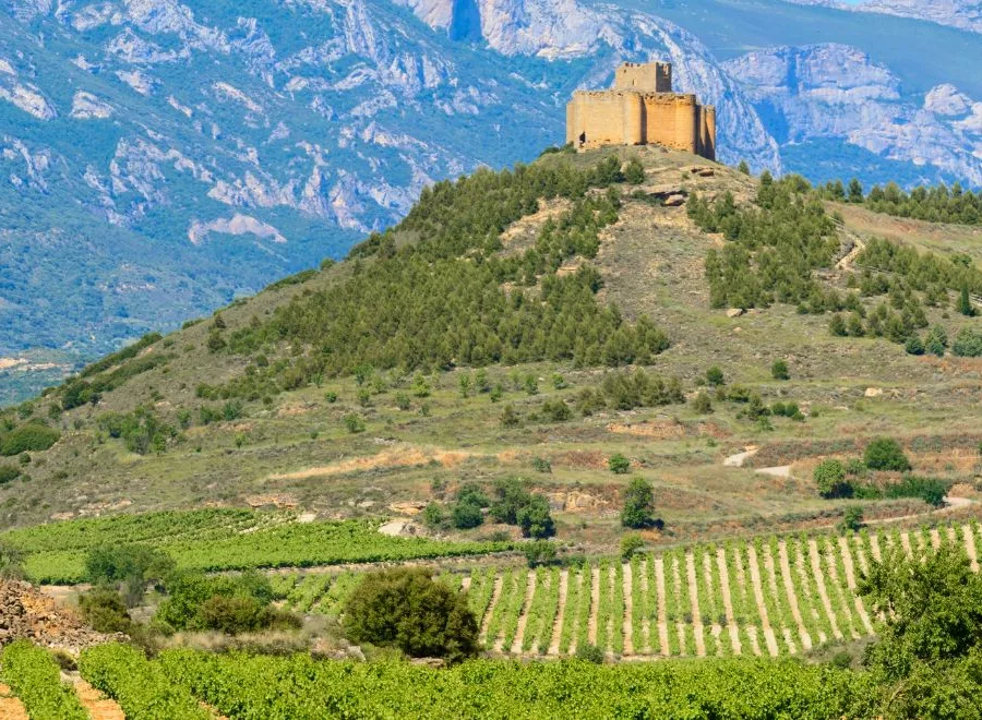 Torre de piedra sobre colina, vi&ntilde;edos y monta&ntilde;as al fondo