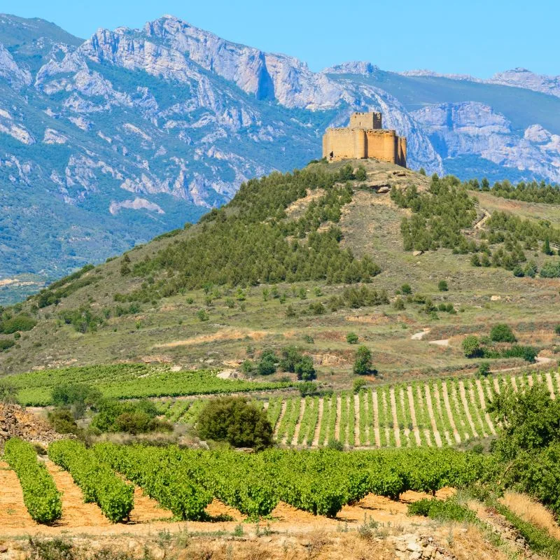 Castillo en una colina con vi&ntilde;edos, rodeado de monta&ntilde;as y cielo azul