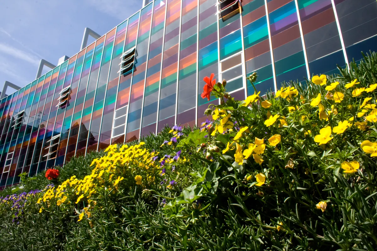 Fachada de edificio con colores vibrantes y flores amarillas y rojas en primer plano
