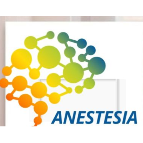 Anestesia multimodal 2026 - Rafaelhoteles Atocha