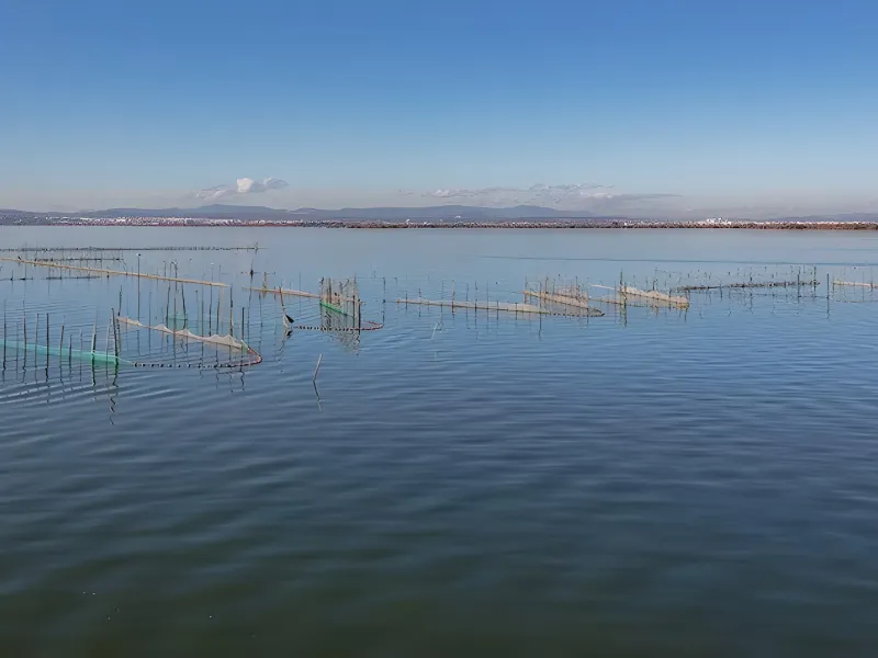 Estructuras de pesca en el agua con cielo azul al fondo.