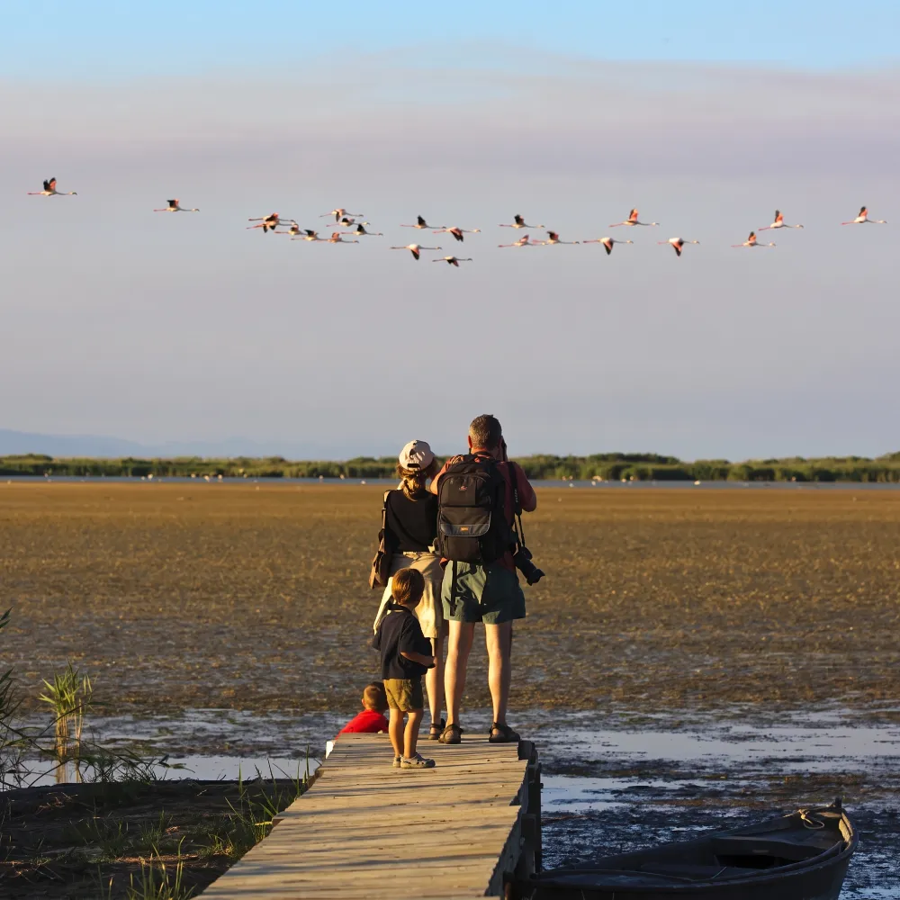 Familia caminando en un muelle junto al lago, con aves volando al fondo
