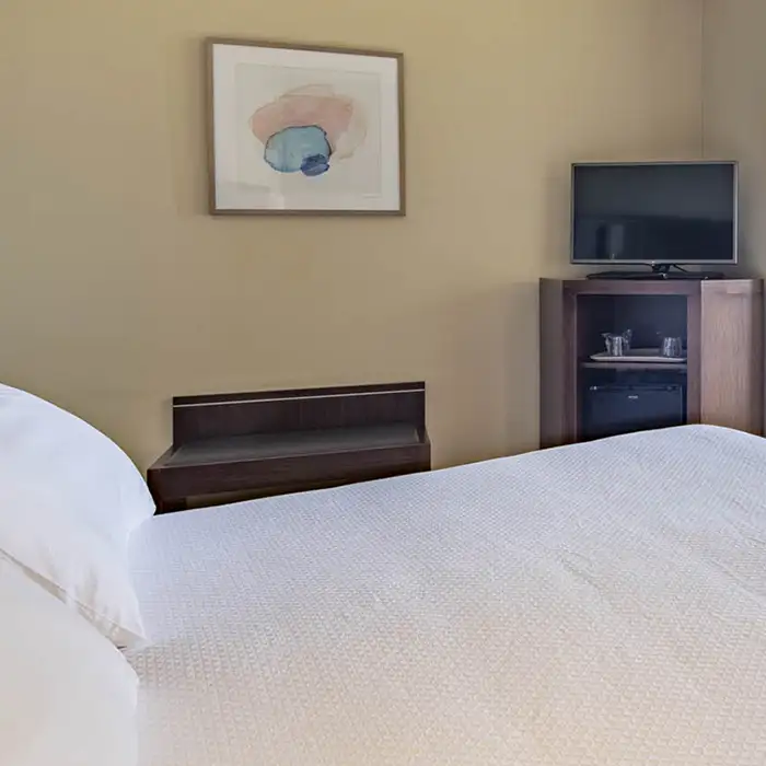 Habitaci&oacute;n de hotel con cama, televisi&oacute;n y cuadro en la pared