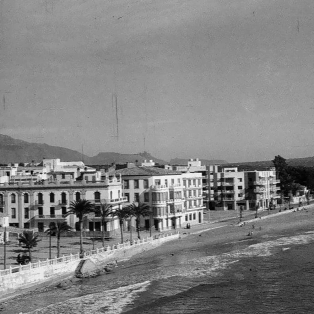 Vista en blanco y negro de edificios blancos junto a una playa y palmeras