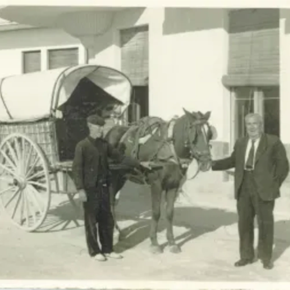 Hombres posan con carret&oacute;n y caballos frente a edificios.