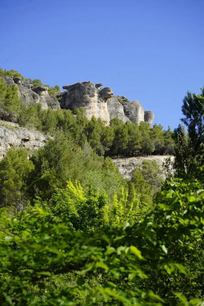 Paisaje de rocas y vegetación verde con cielo azul, vista desde el bosque.