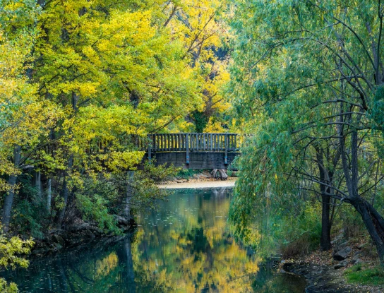 Puente de madera sobre r&iacute;o tranquilo, rodeado de &aacute;rboles oto&ntilde;ales verdes y amarillos