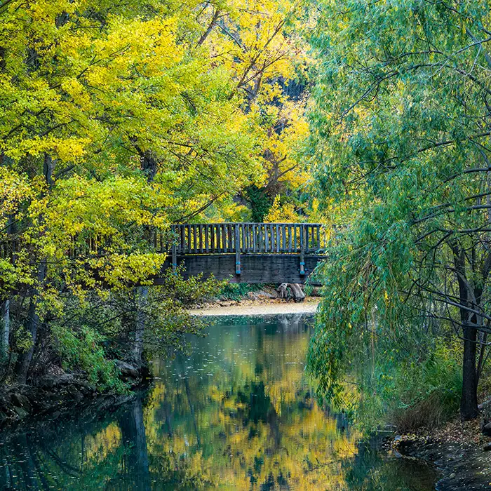 Puente de madera sobre un río en un bosque con hojas verdes y amarillas