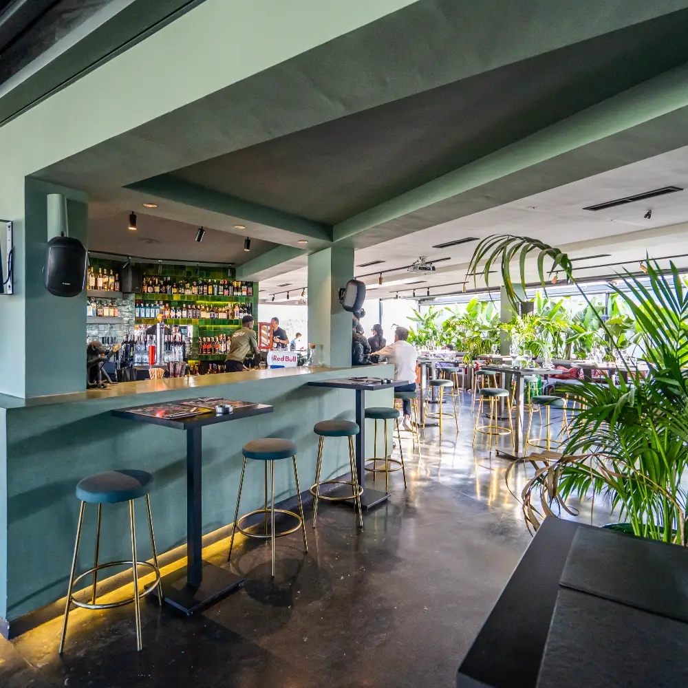 Bar con barra de bebidas, taburetes y plantas, ambiente interior con luz natural