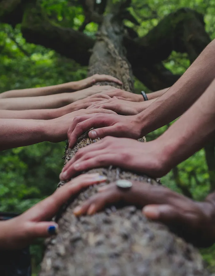 Manos unidas rodeando un &aacute;rbol en un gesto de apoyo comunitario