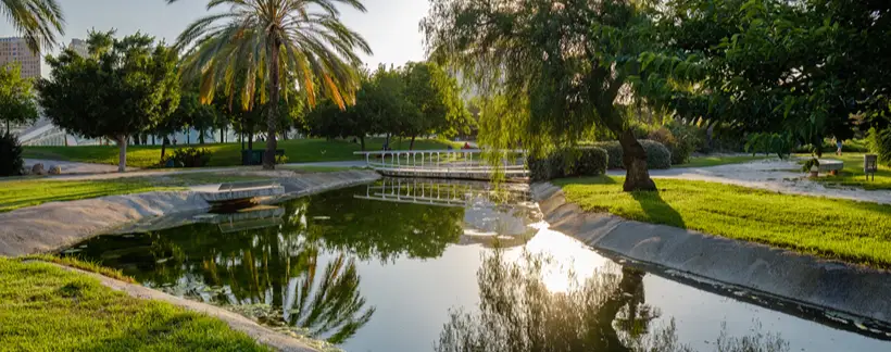 Jard&iacute;n con palmeras y estanque con reflejo al atardecer.