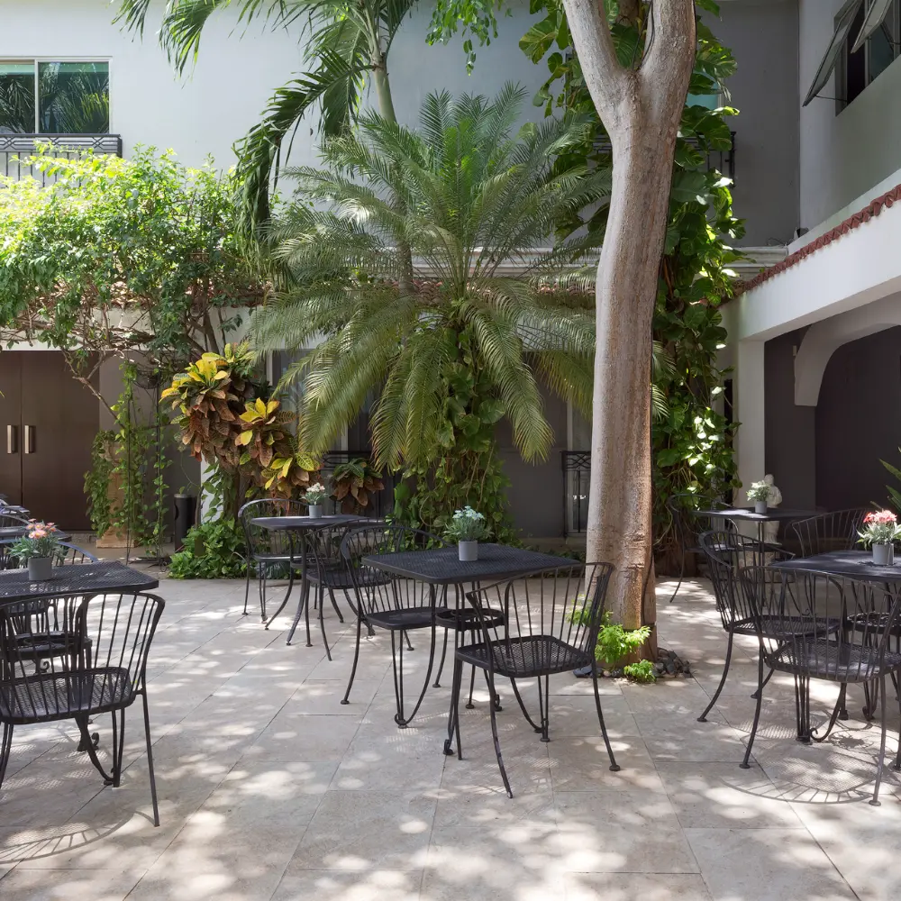 Patio con mesas y sillas rodeado de palmeras y plantas verdes.