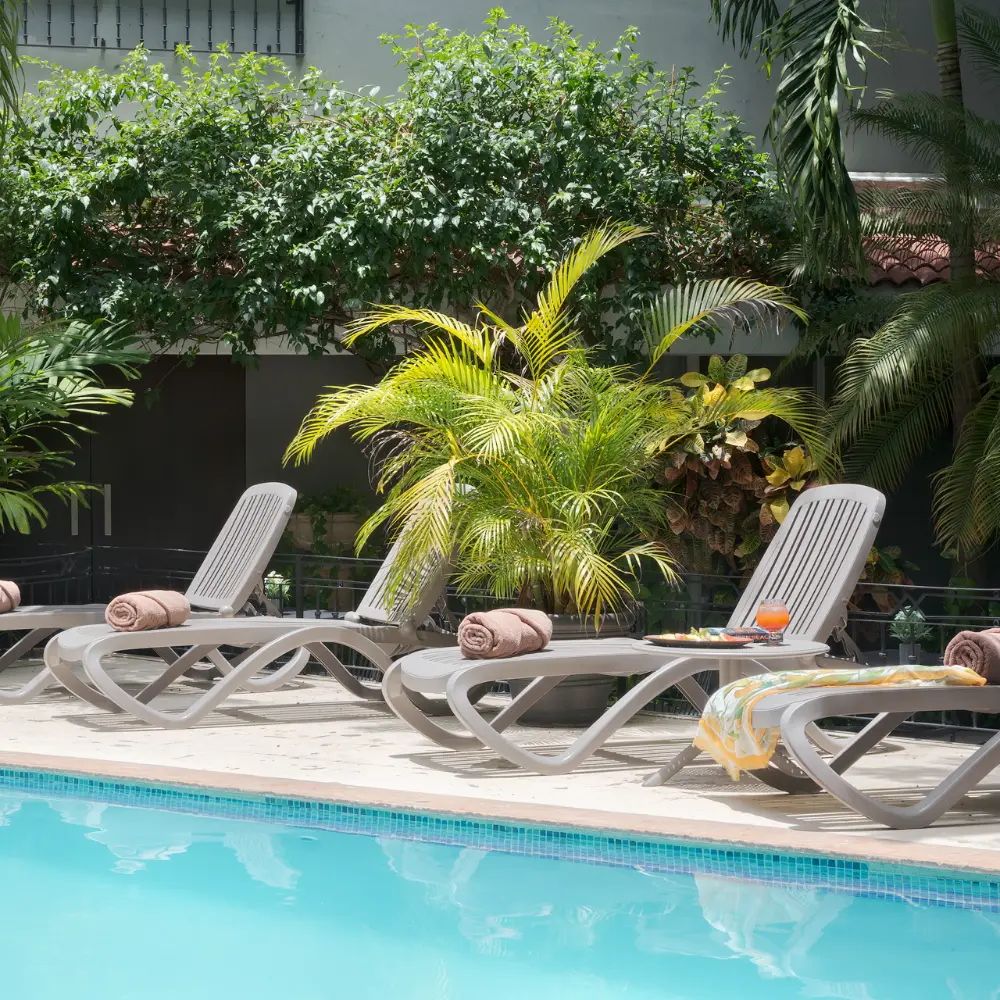Dos tumbonas junto a una piscina con plantas tropicales y luz solar