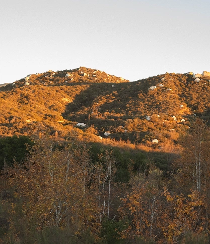 Ayeka Integrative Center