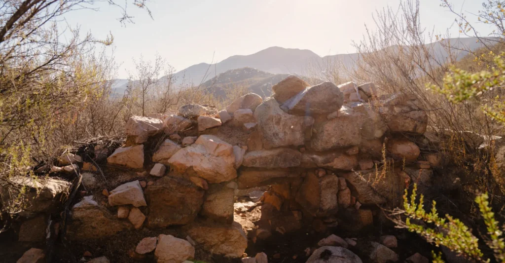 Rock wall among shrubs and trees with mountains in the background at sunset