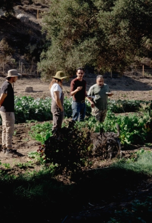 Farmers working in a green field with trees and hills in background