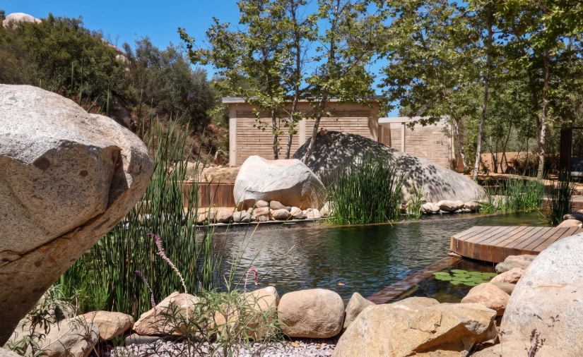 Tropical garden pond with rocks, lily pads, and a wooden boardwalk by trees