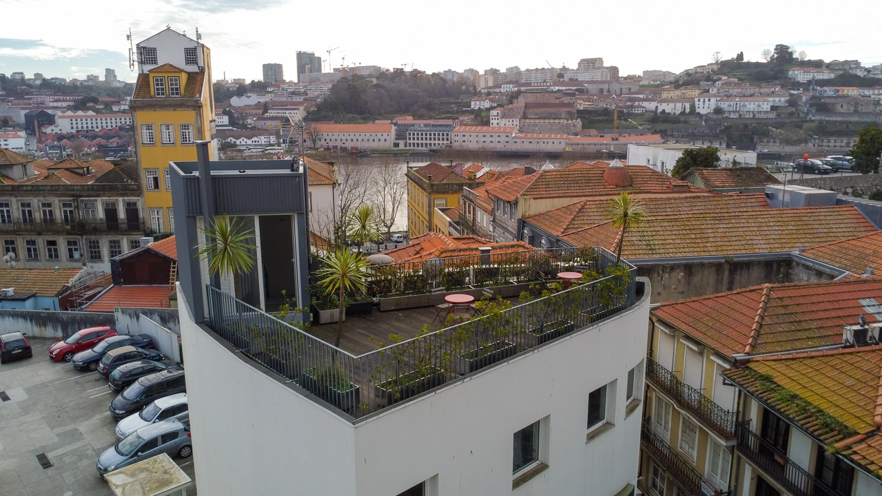 Vista urbana desde un edificio, tejados y un jardín interior con palmeras