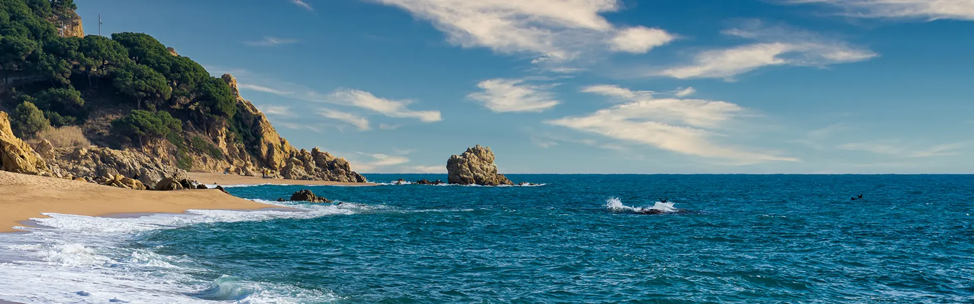 Playa salvaje con acantilados y olas rompiendo bajo un cielo nublado