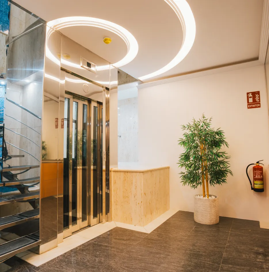 Pasillo moderno con ascensor, iluminaci&oacute;n circular y planta decorativa interior.
