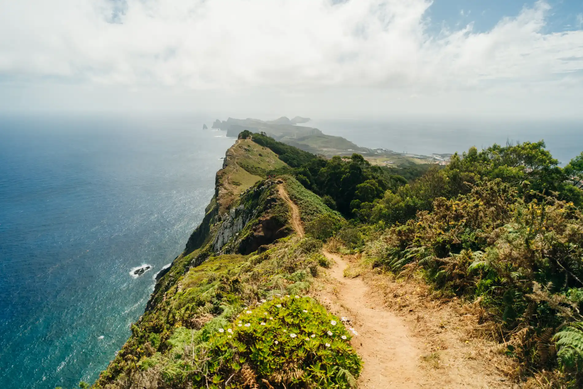 Trilha costeira com vegeta&ccedil;&atilde;o e oceano ao lado, vista de montanhas ao fundo