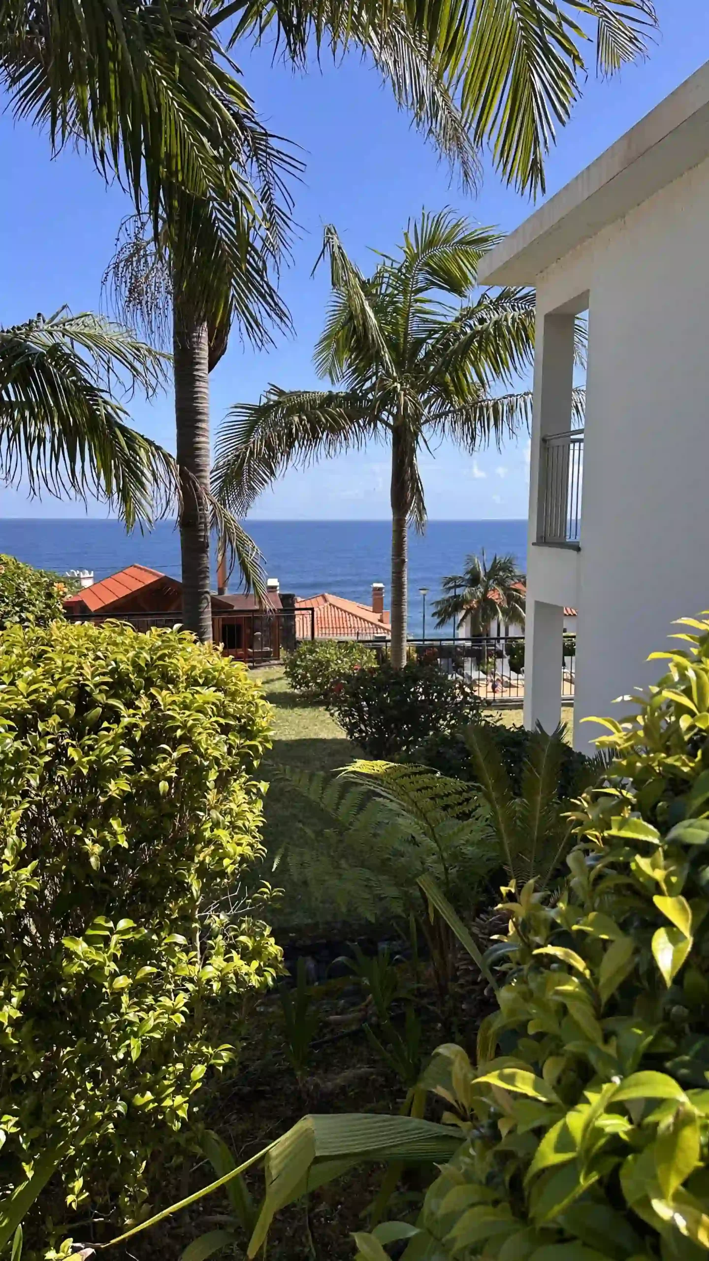 Jardim tropical com palmeiras e vista para o mar, sob c&eacute;u azul
