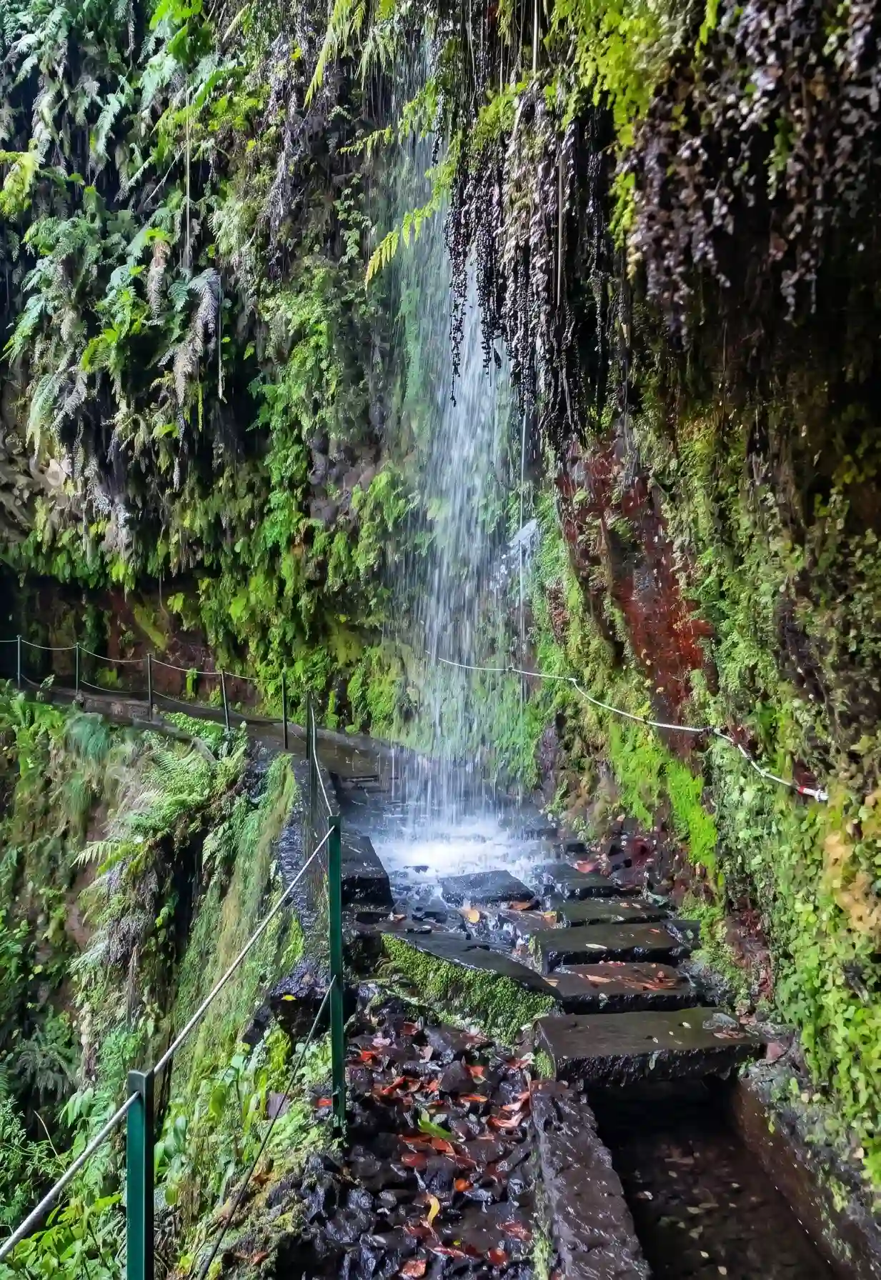 Cachoeira em meio a plantas verdes, com queda forte e pedras ao fundo