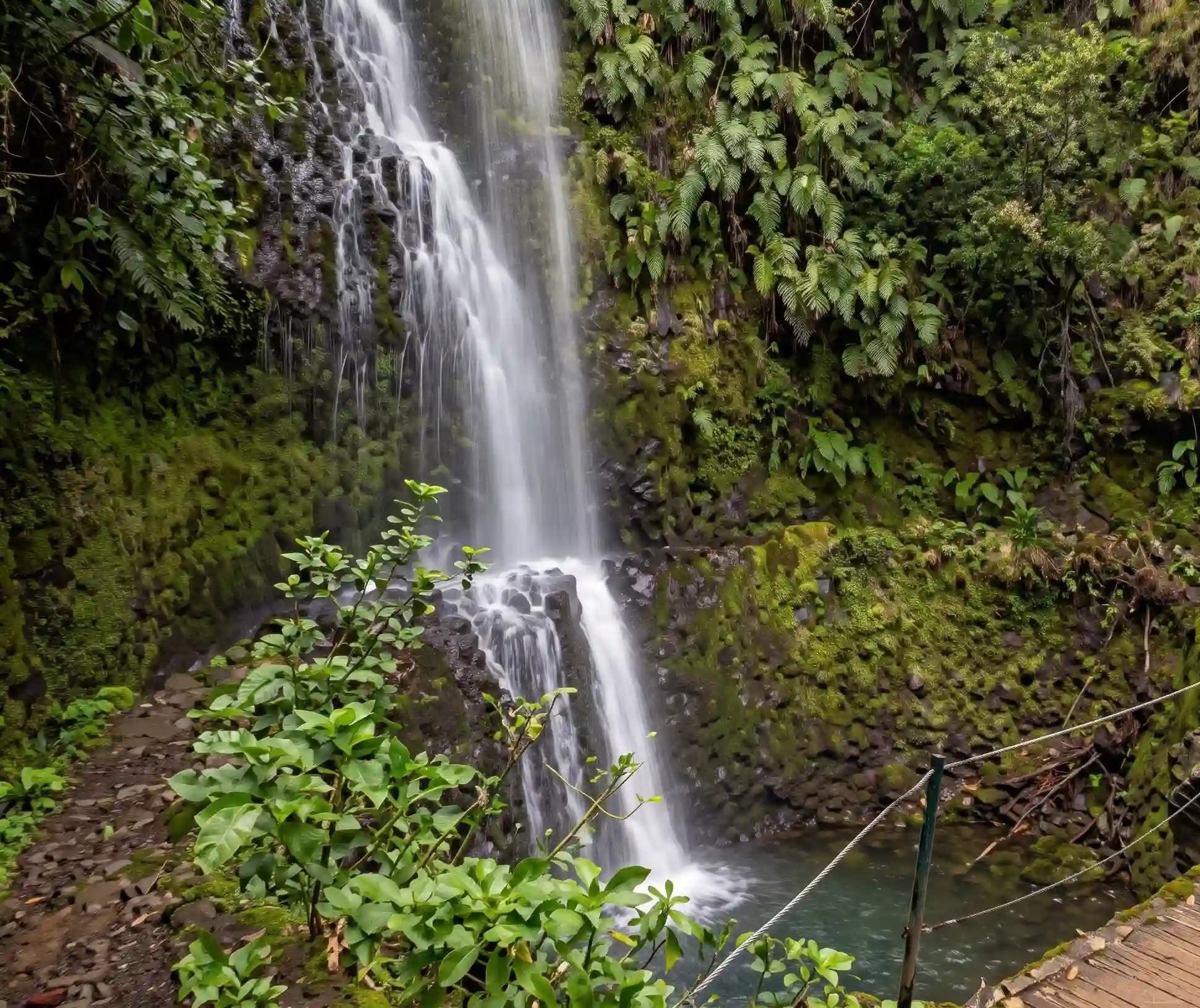 Cachoeira alta em meio &agrave; floresta verde, com &aacute;guas caindo no rio.