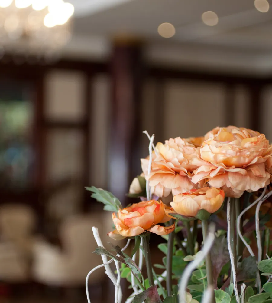 Ramo de rosas melocot&oacute;n con fondo desenfocado y luces c&aacute;lidas