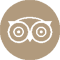 Icono minimalista de dos ojos/rostros con patr&oacute;n circular en beige.