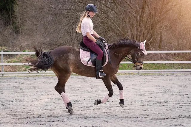 horseback