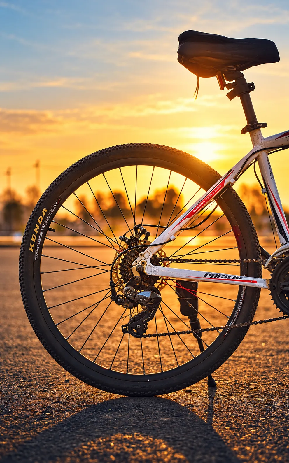 Rueda trasera de una bicicleta al atardecer, con el sol iluminando el paisaje.