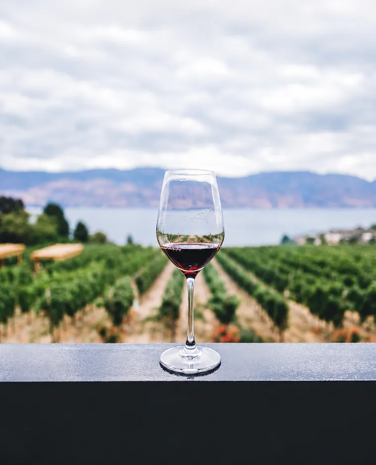 Copa de vino tinto en terraza con vi&ntilde;edos y lago al fondo