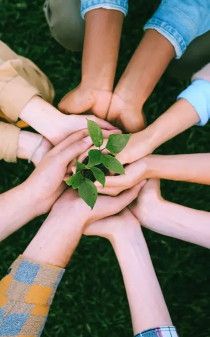 Manos formando un c&iacute;rculo alrededor de una plantita sobre c&eacute;sped