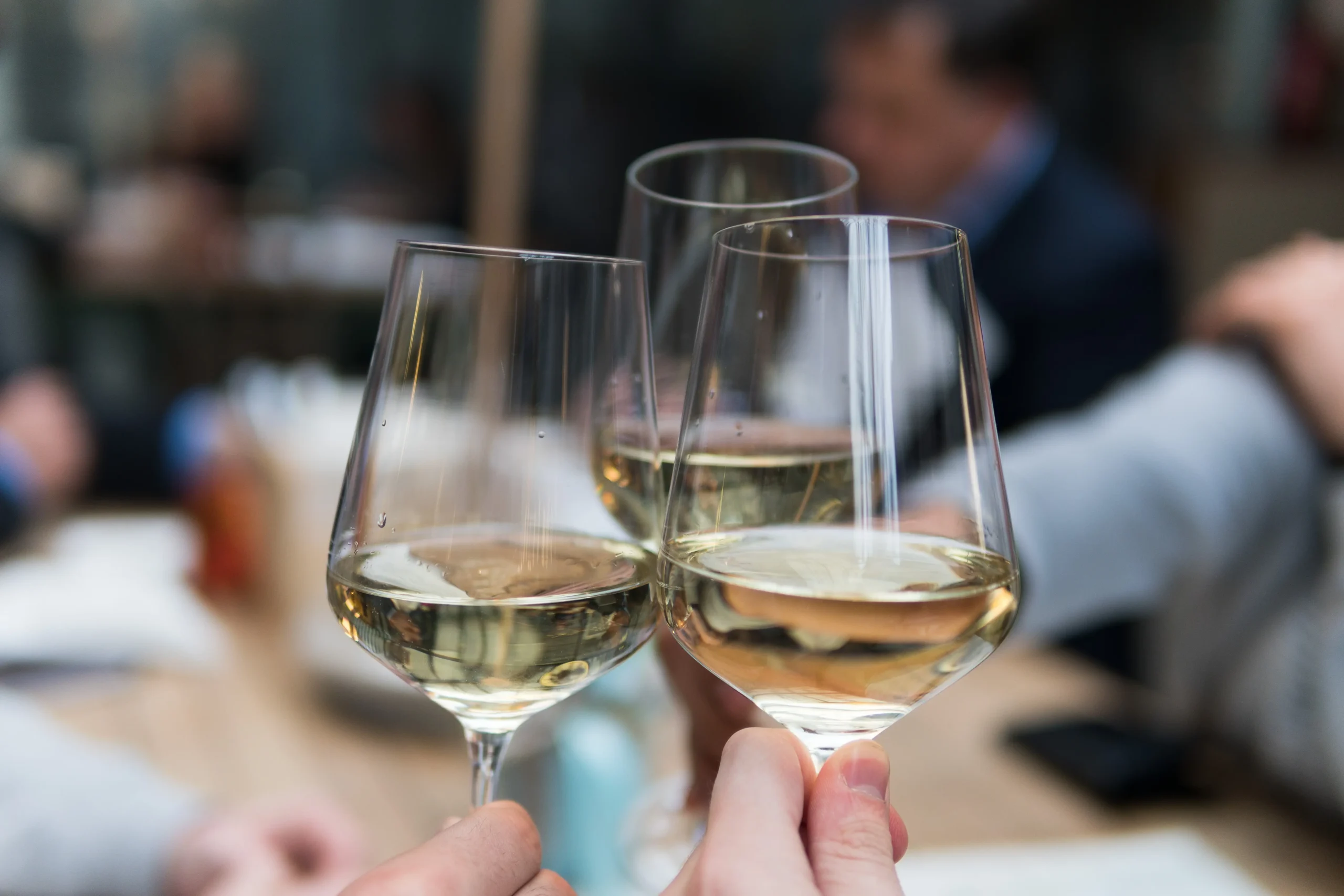 DO Alella: todo el sabor y tradici&oacute;n de la vi&ntilde;a en el restaurant Tr&agrave;nsit - Hotel Augusta Vall&egrave;s | Vilanova del Vall&egrave;s | Web Oficial