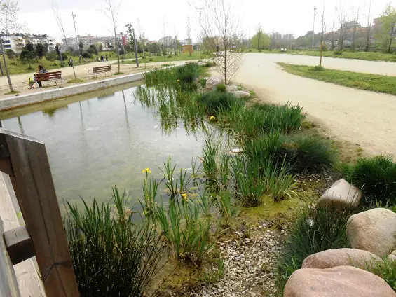 Parc del Lledoner - Hotel Augusta Vall&egrave;s | Vilanova del Vall&egrave;s | Web Oficial