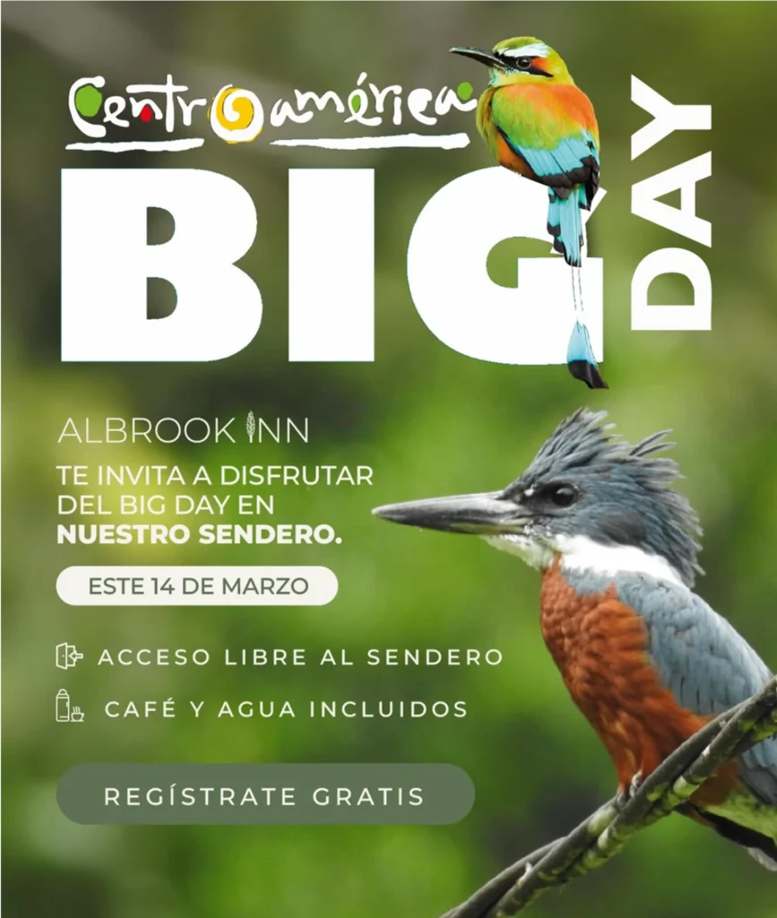 Observaci&oacute;n de aves - Hotel Albrook Inn