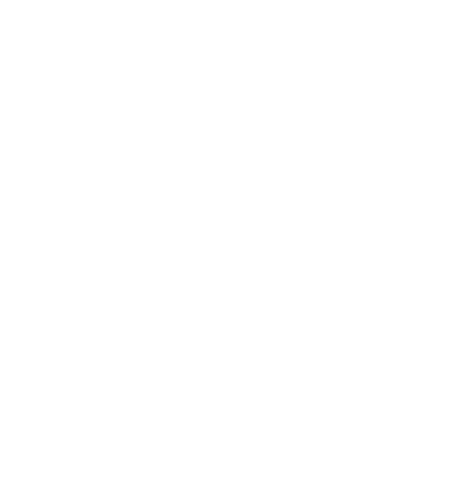 Escudo con emblema de drag&oacute;n y letras en blanco sobre fondo negro