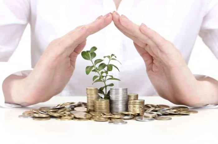 Persona protegiendo una planta con monedas y manos sobre el escritorio.