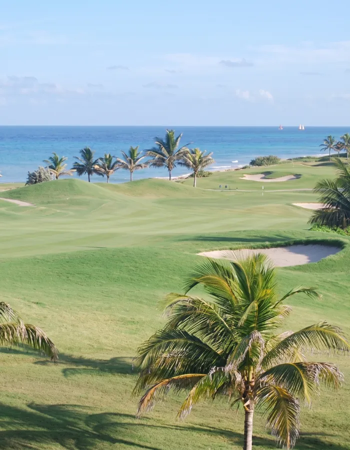 Campo de golf con palmeras y vista al mar azul.