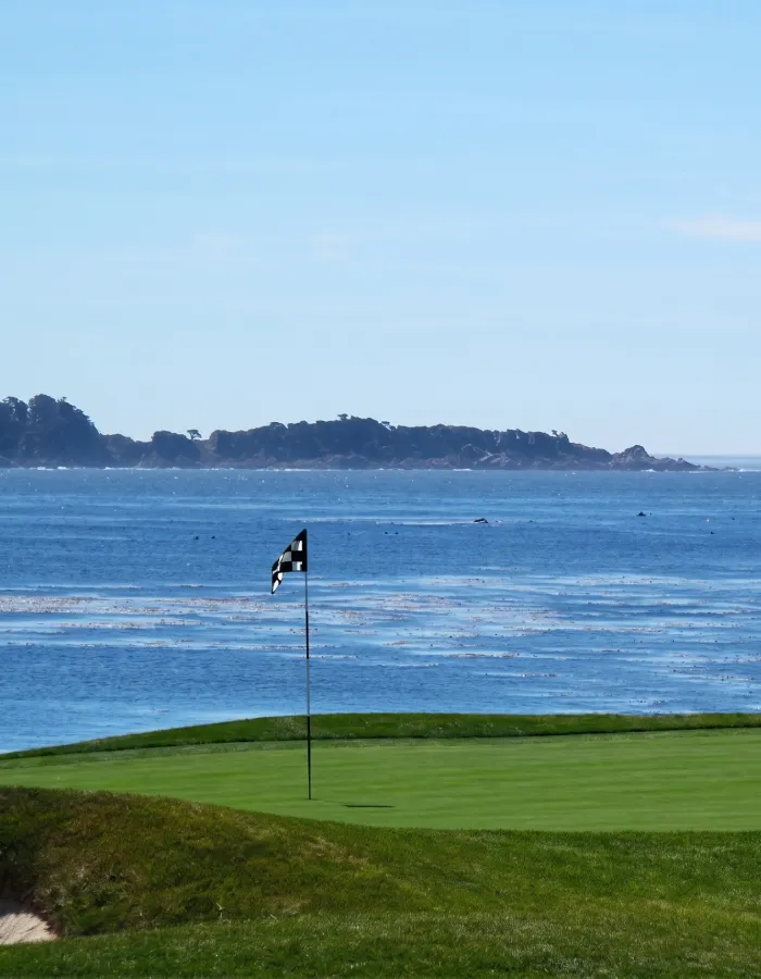Gr&uuml;nes Feld und blaues Meer mit Golfplatzflagge und K&uuml;ste im Hintergrund