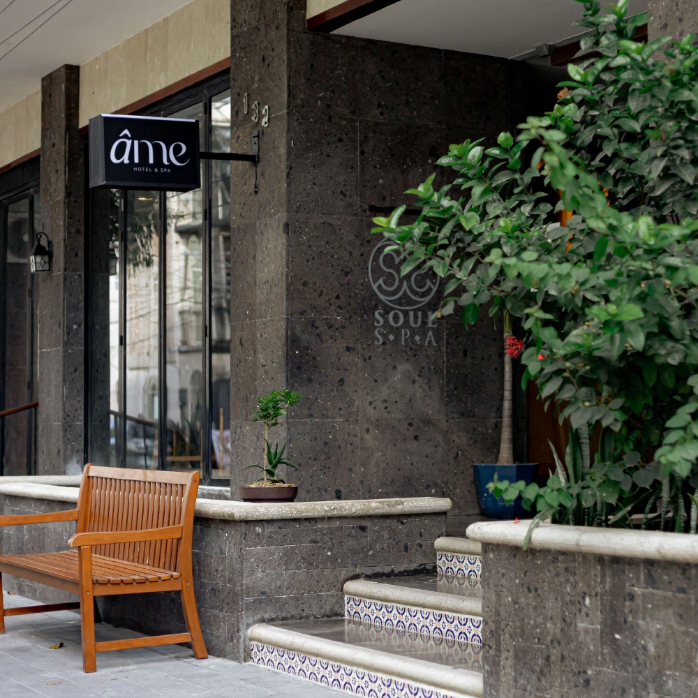 Entrada de hotel con letrero &ldquo;&acirc;mo&rdquo;, piedra oscura y plantas en macetas