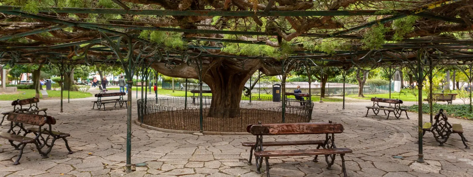 Parque arborizado com bancos de madeira sob p&eacute;rgola e &aacute;rvores frondosas.
