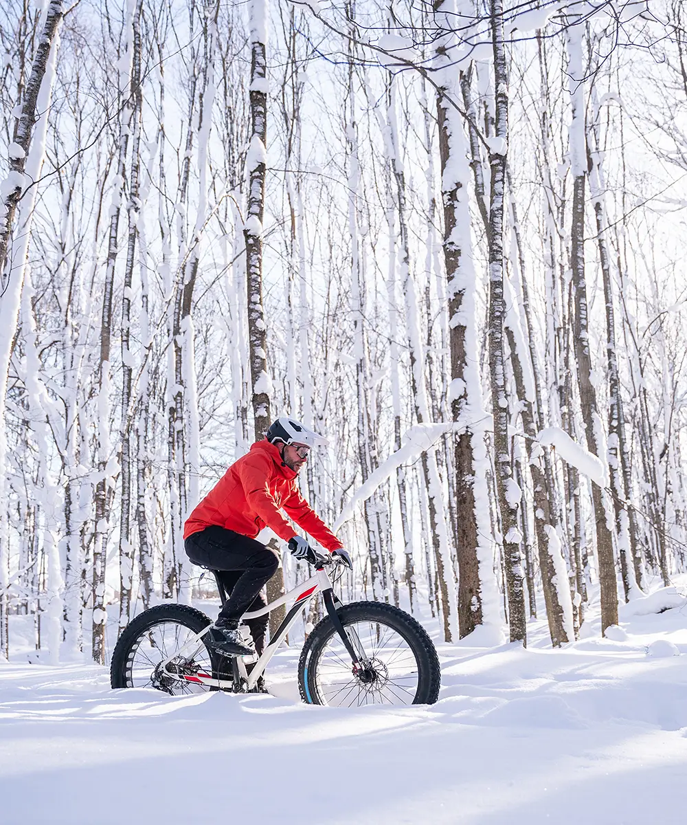 Ciclista con traje rojo en bicicleta por bosque nevado, entre abedules blancos