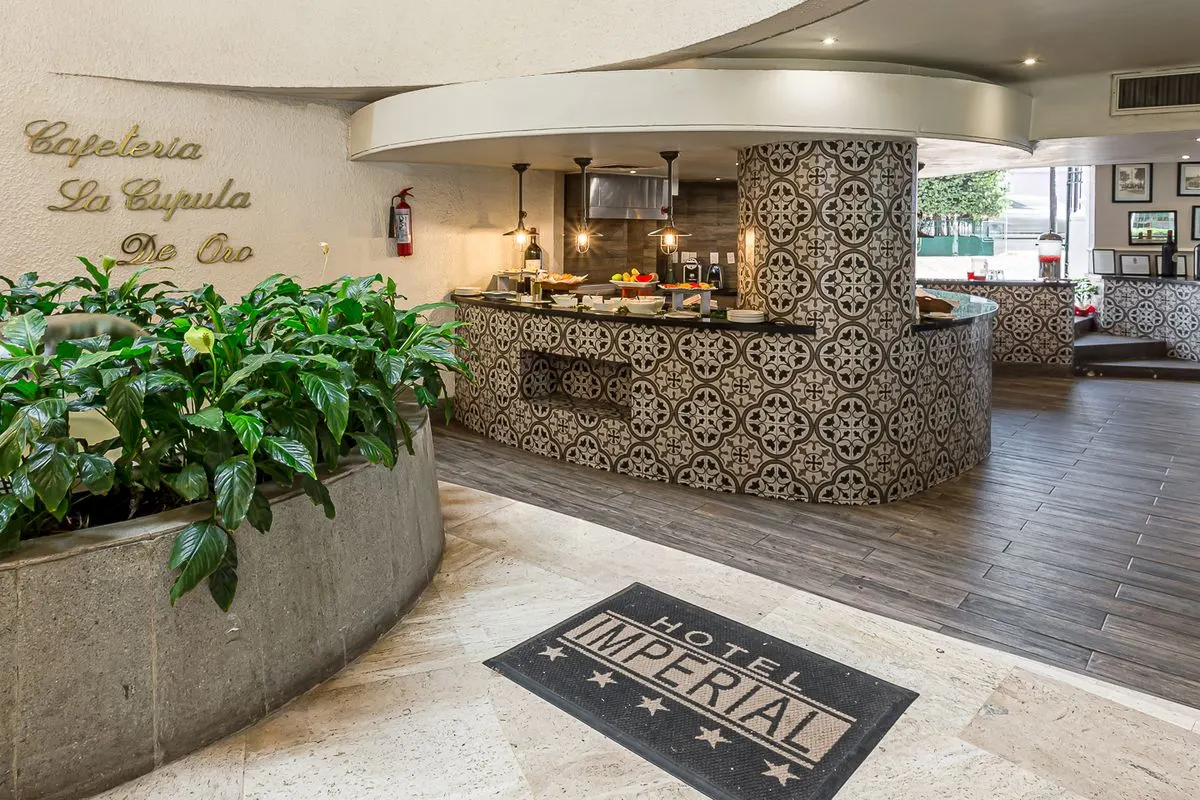 Cafeter&iacute;a &ldquo;La Cuquila&rdquo; con barra y plantas en interior moderno, alfombra Hotel Iberia