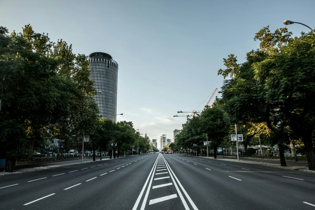 Avenue with lanes and skyscrapers among trees, clear sky