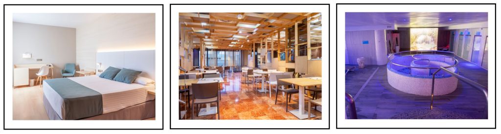 Encuentra tu hotel para Hábitat: descubre nuestras Ofertas de Alojamiento - Olympia Grupo