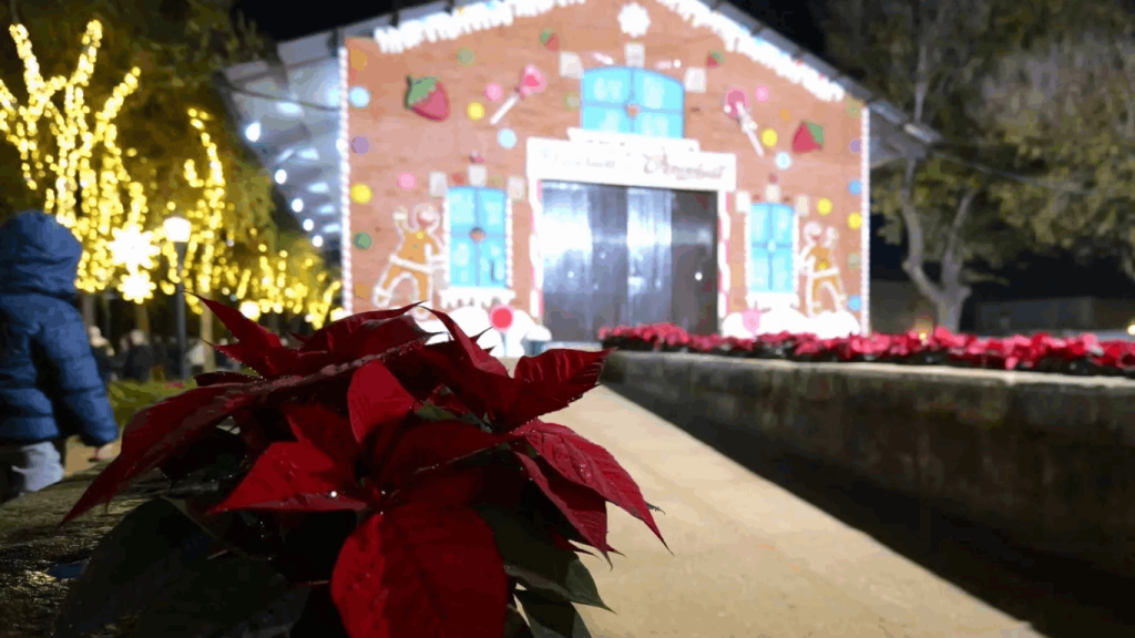 planes-navidad-Costa-de-la-Luz