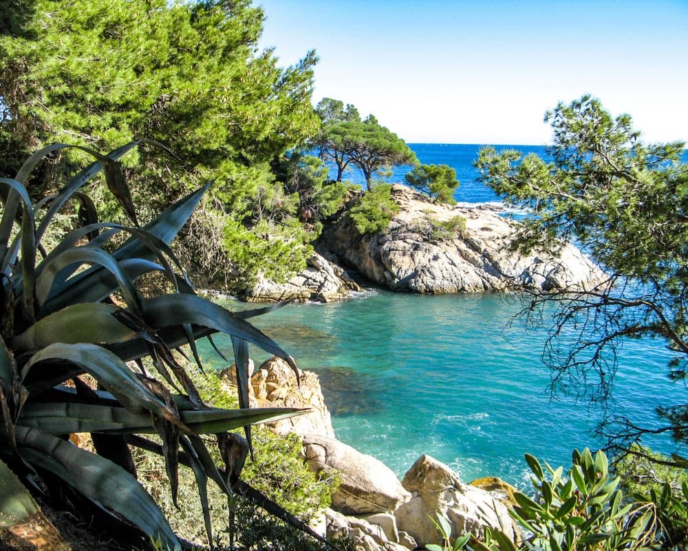 hotel medium montecarlo - Medium Hoteles