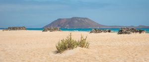Un día de surf en Corralejo: tips y experiencias para principiantes - Bristol Sunset Beach